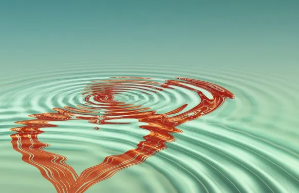 Kaszinó Barbados Bingo Támogatás